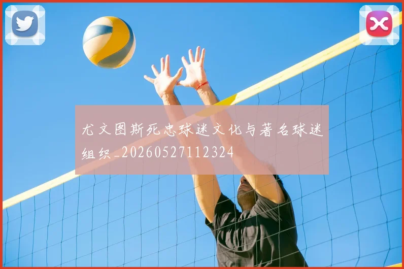 尤文图斯死忠球迷文化与著名球迷组织_20260527112324