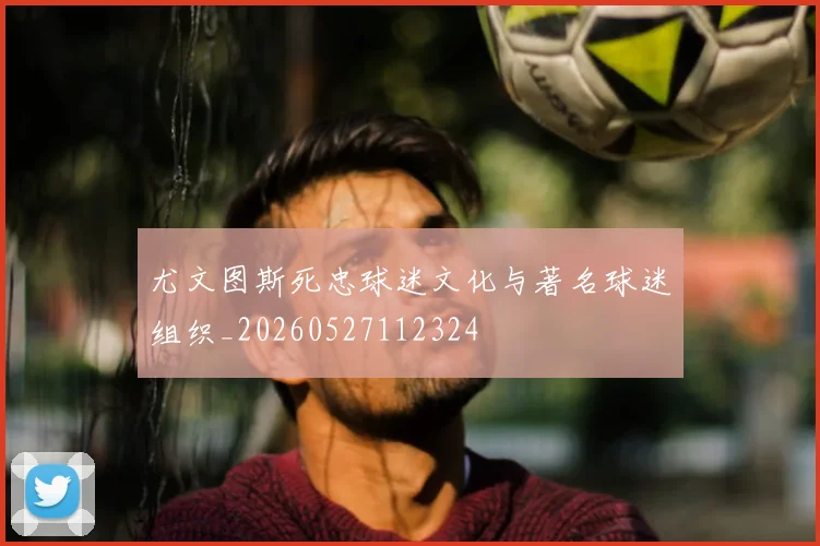尤文图斯死忠球迷文化与著名球迷组织_20260527112324